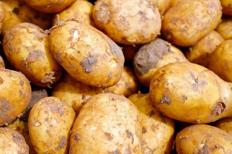Porządne części zamienne do kopaczek