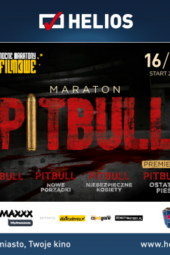 Maraton Pitbulla – konkurs!