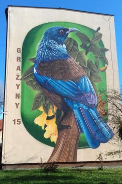 Nowozelandzki ptak na ścianie bloku