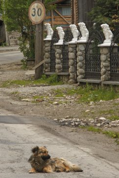 Klimatyczne fotografie sprzed 15 lat