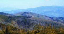 Widok na Beskid Żywiecki z Magurki Wiślańskiej w paśmie Baraniej Góry. Foto. Piotr Wisła