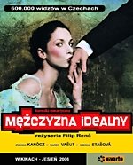 Mężczyzna idealny
