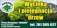 Wycinka i pielęgnacja drzew, krzewów i żywopło