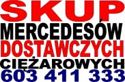 MERCEDES SKUP,SKUP  MERCEDESÓW 603411333