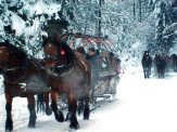 KULIGI ZIMOWE W WIŚLE (FERIE,WALENTYNKI,WEEKENDY)