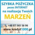 Chwilówka, pożyczka online