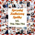 DEBERG LIMITED Przejmę Zadłużoną Spółkę Sku