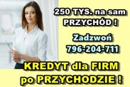 KREDYT FIRMOWY 250 TYS. NA PODSTAWIE PRZYCHODU!