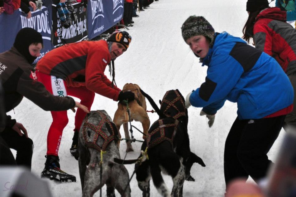 Udany start zaprzęgów