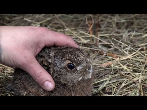 EKOBUDKA odcinek 4