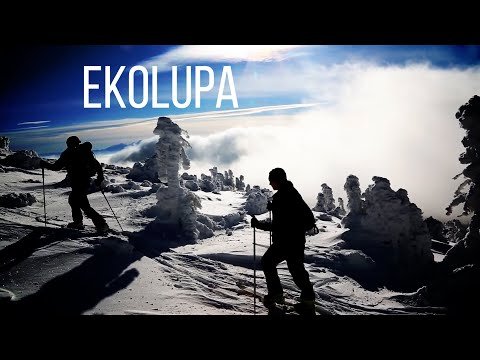 Ekolupa - narty i nietoperze