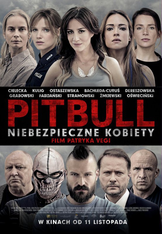 Kultura Dostępna - Pitbull. Niebezpieczne kobiety