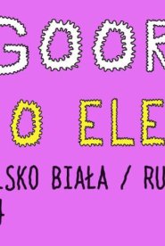 Befor Ethno Elektro 2 / Goora