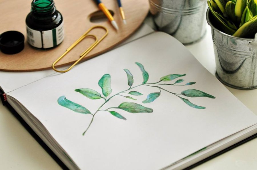 Ars botanica – warsztaty malowania akwarelowych plakatów