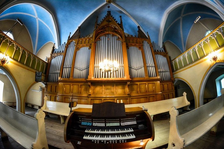Koncert kameralny: Dla naszych organów...