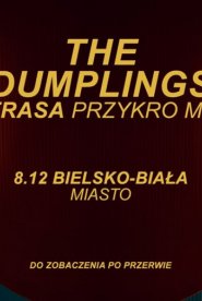 The Dumplings - Przykro Mi