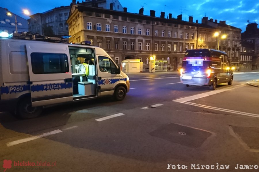 Dzikie zwierzę na ul. Zamkowej. Jelonek zginął na miejscu - foto