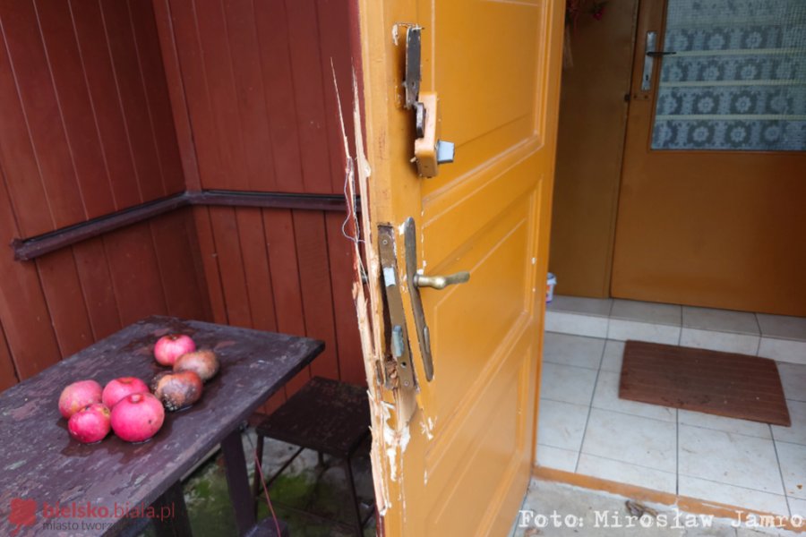 Włamania na ogródkach działkowych. Nie ma fachowców do naprawy drzwi - foto