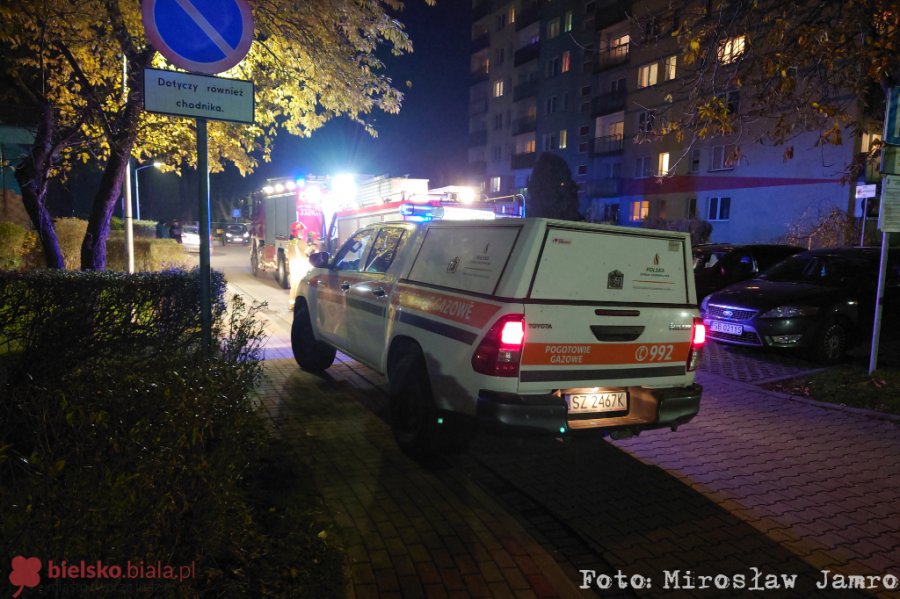 Strażacy w wieżowcach przy Wapienickiej. Dzieci wyczuły gaz - foto
