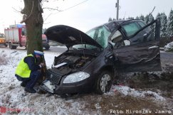 Staranowała autem dwa drzewa. Kobieta straciła rękę - foto